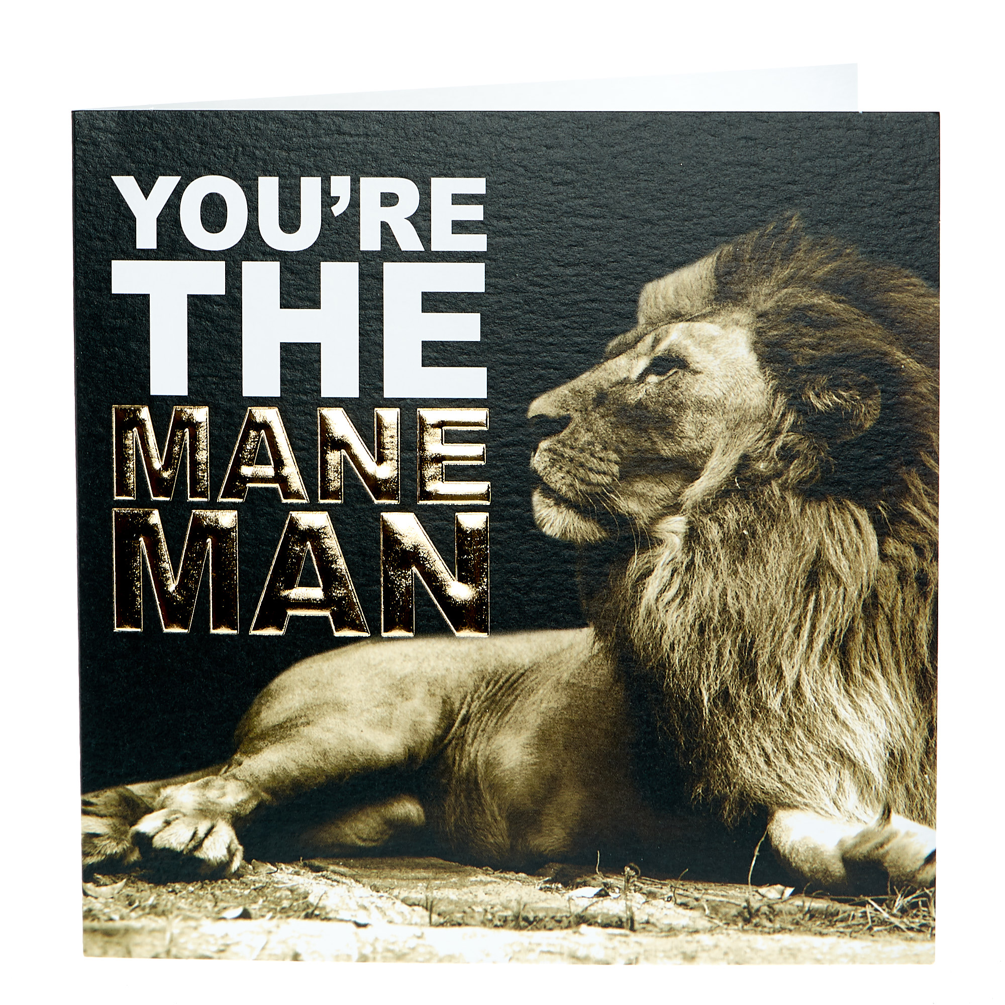Any Occasion Card - The Mane Man