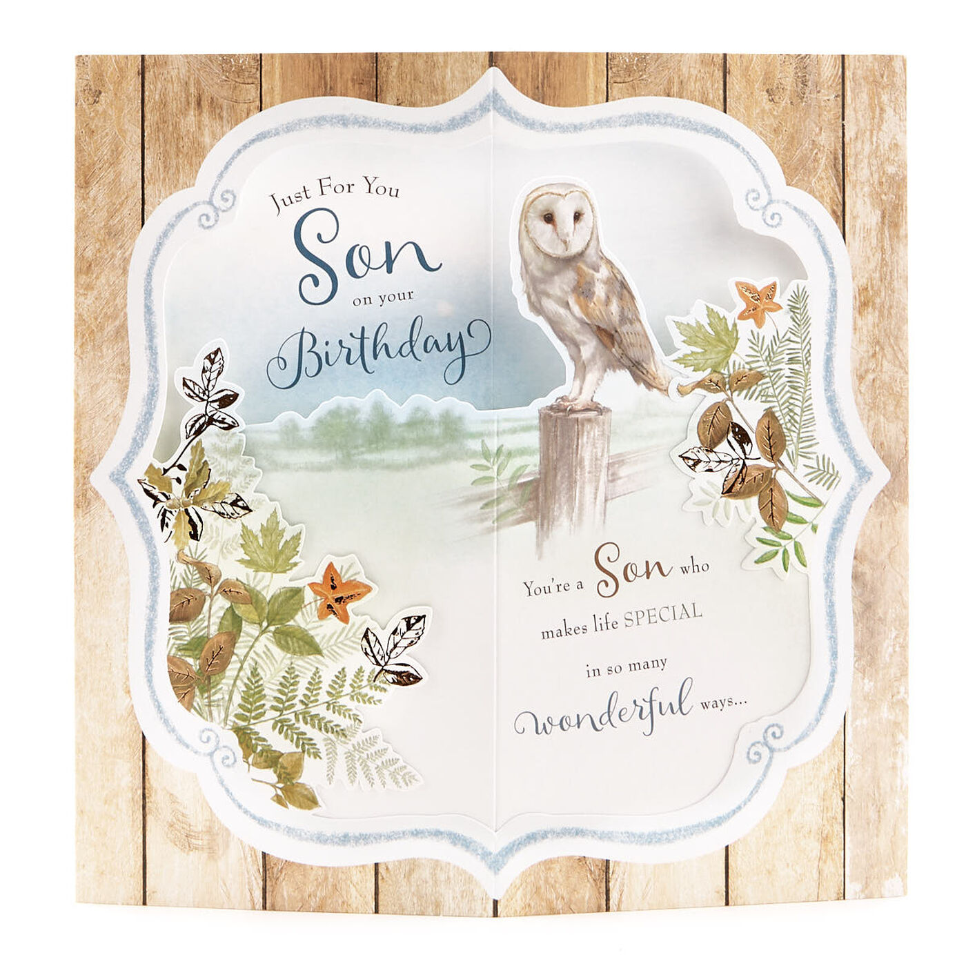 Buy Exquisite Collection 3D Birthday Card Son, Owl for GBP 1.99