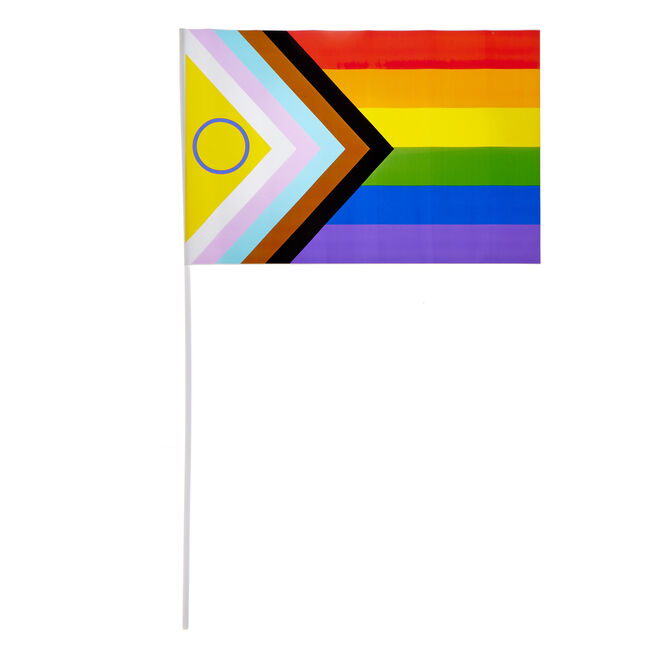 Rainbow Pride Flags on Sticks - Pack of 5