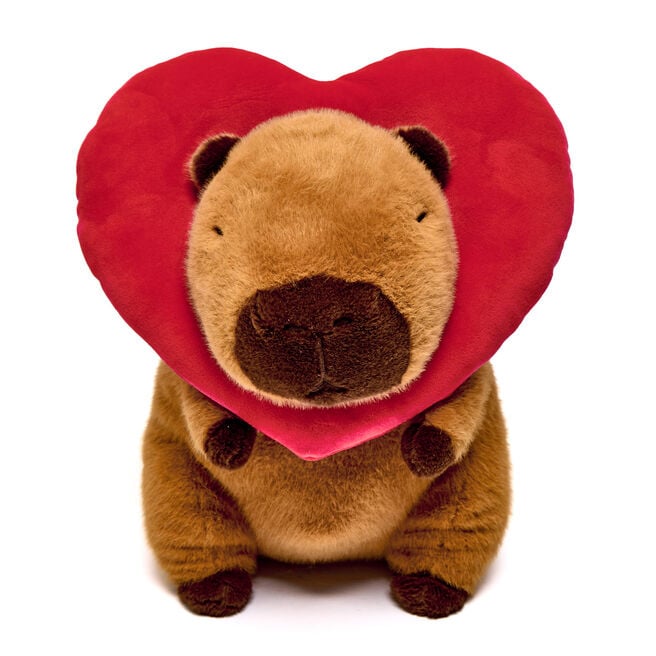Large Capybara Heart Soft Toy