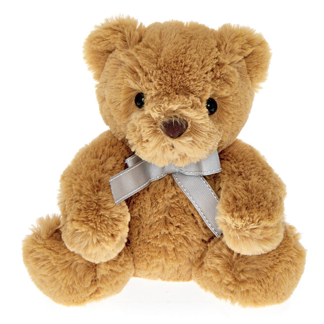 Small Classic Brown Bear Soft Toy