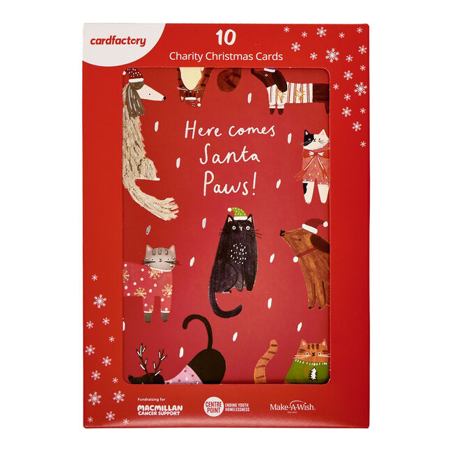 10 Portrait Santa Paws Charity Christmas Cards