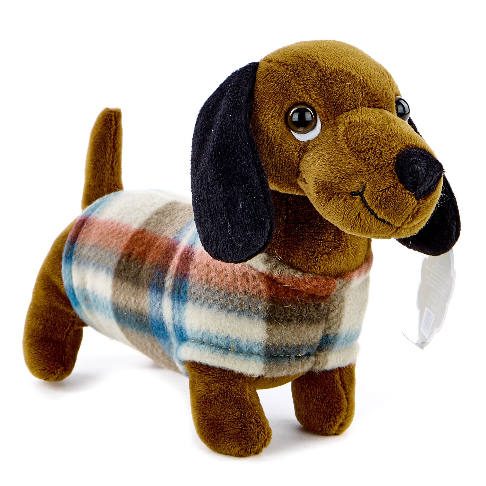 Buy Sausage Dog In A Coat Soft Toy for GBP 2.99 Card Factory UK