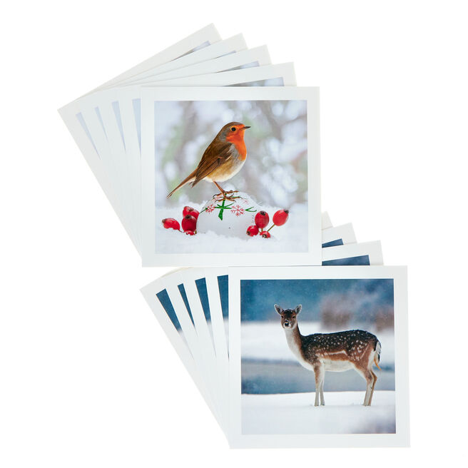 18 Charity Christmas Cards - Deer & Robin (2 Designs)