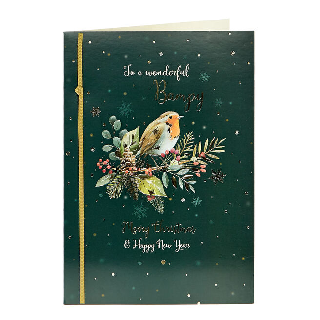 Christmas Card - Wonderful Bampy Robin 