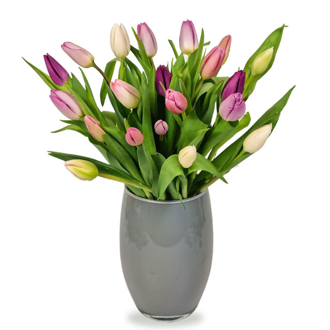 Letterbox Pastel Mix Tulips - Pre-Order For Mother's Day!