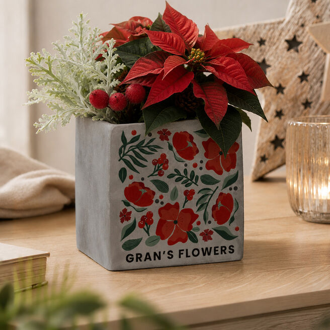 Personalised Poinsettia Concrete Plant Pot