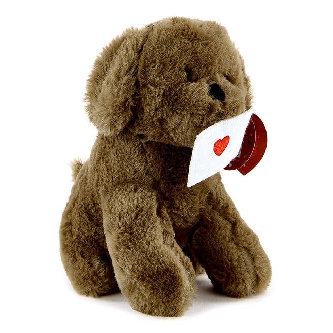 Dog With Letter Valentine's Day Soft Toy