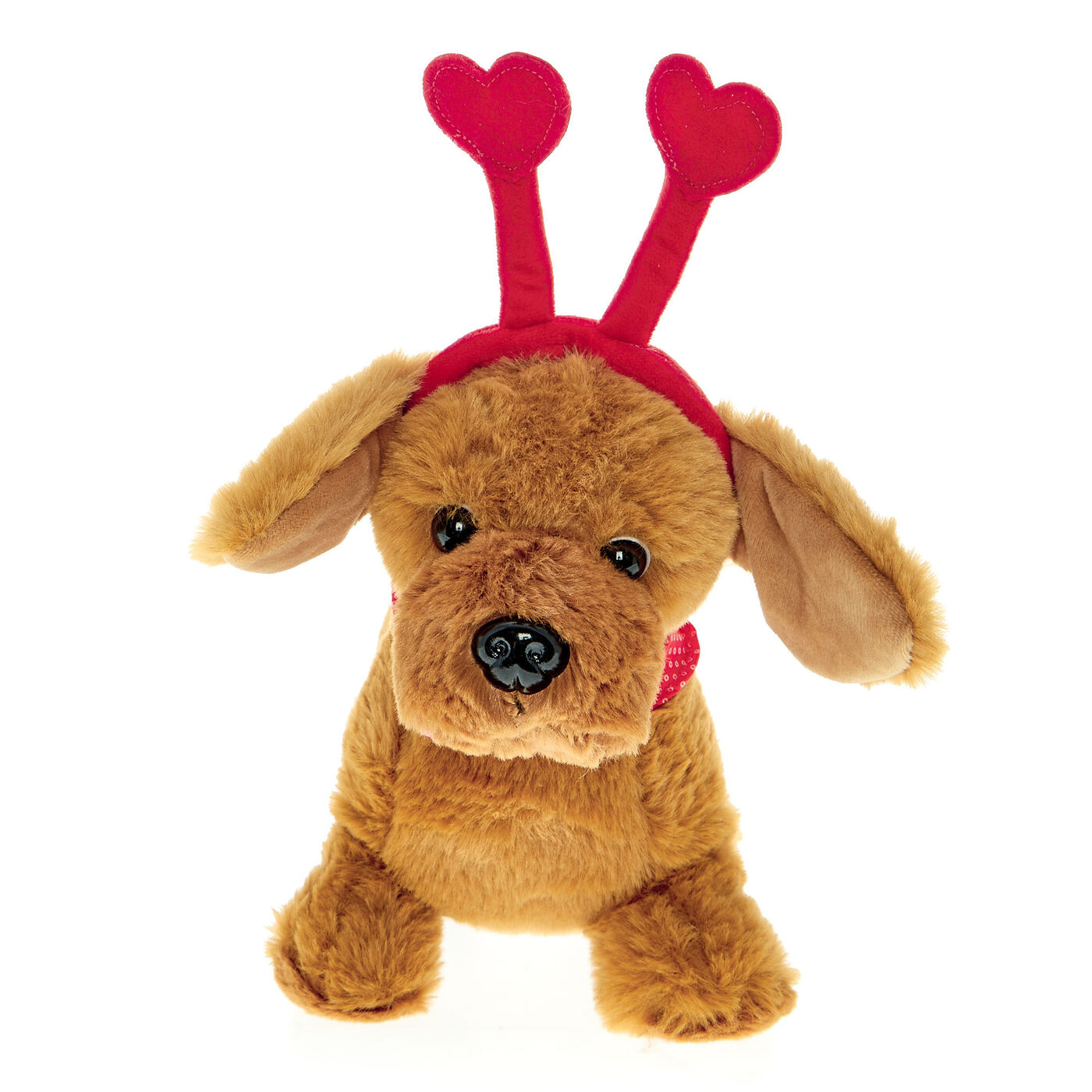 Buy Sausage Dog Soft Toy With Boppers for GBP 5.99 Card Factory UK