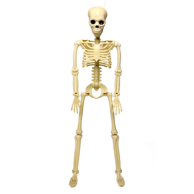 Large Hanging Skeleton Decoration