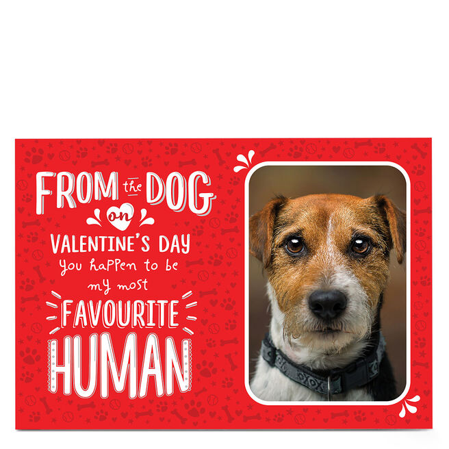 Photo Valentine's Day Card - From The Dog