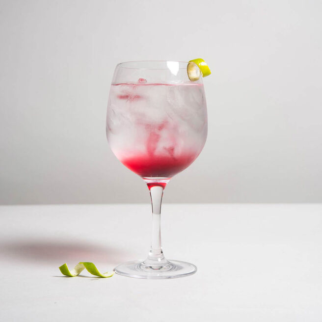 Premium Gin Glasses - Pack of 6