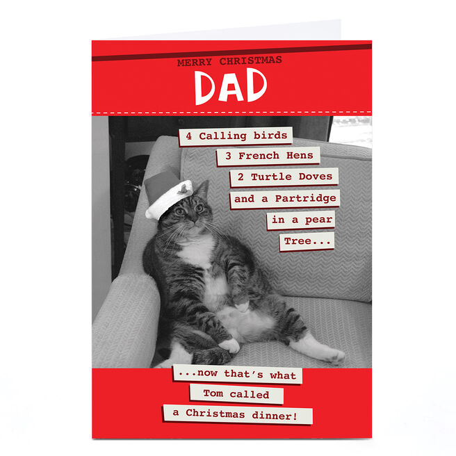 Personalised Quitting Hollywood Christmas Card - Dad Chubby Cat