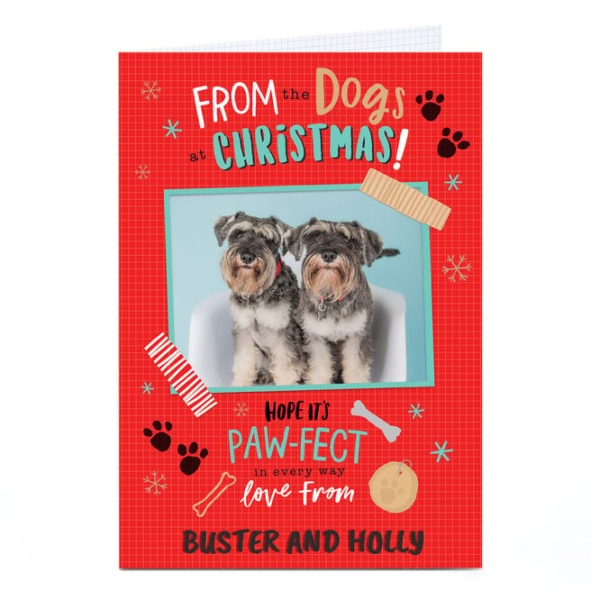 Photo Christmas Card - From The Dogs