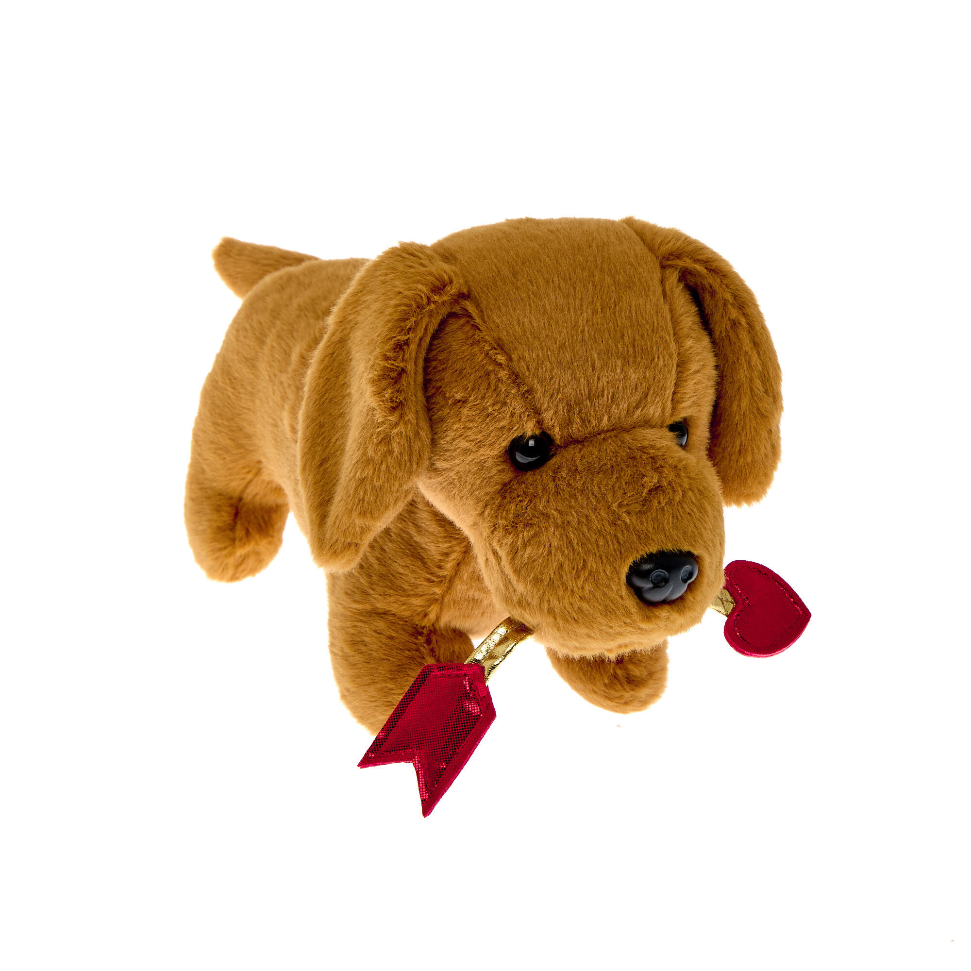 Buy Large Sausage Dog With Arrow Soft Toy for GBP 7.99 | Card