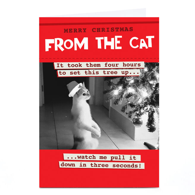 Personalised Quitting Hollywood Christmas Card - From the Cat