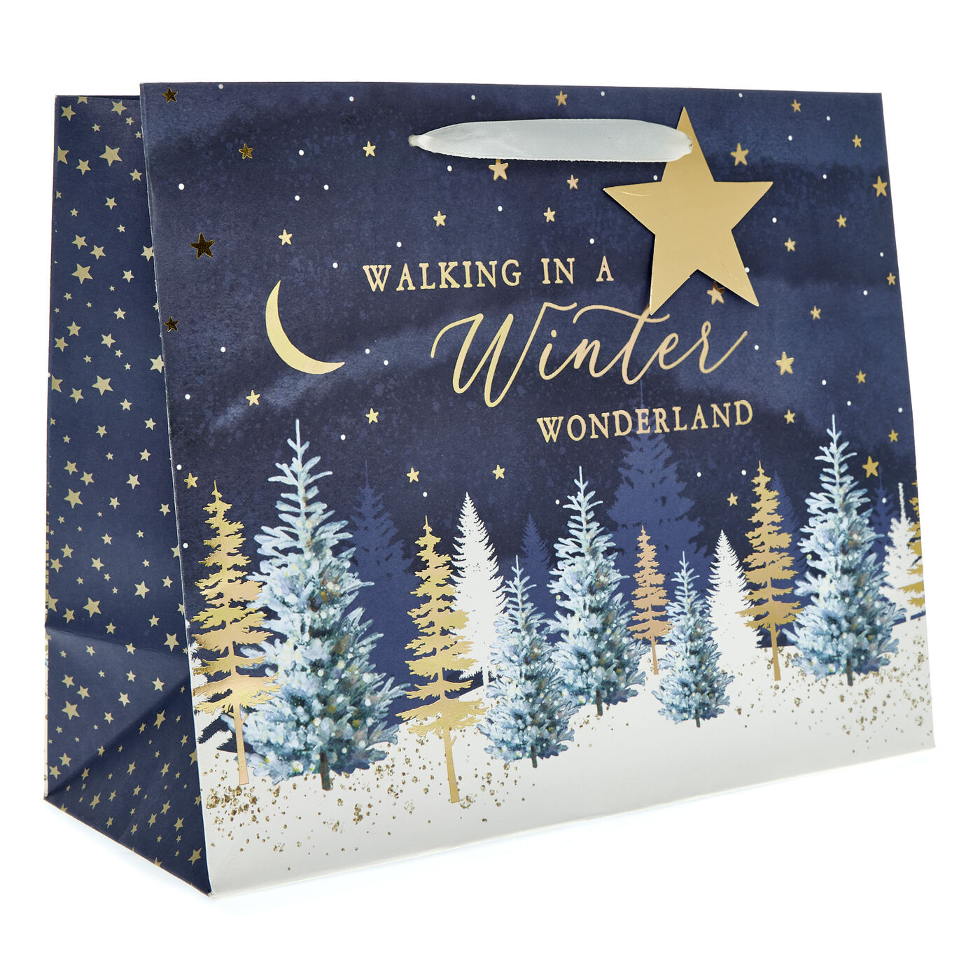 Buy Winter Wonderland Large Landscape Gift Bag for GBP 1.49 Card