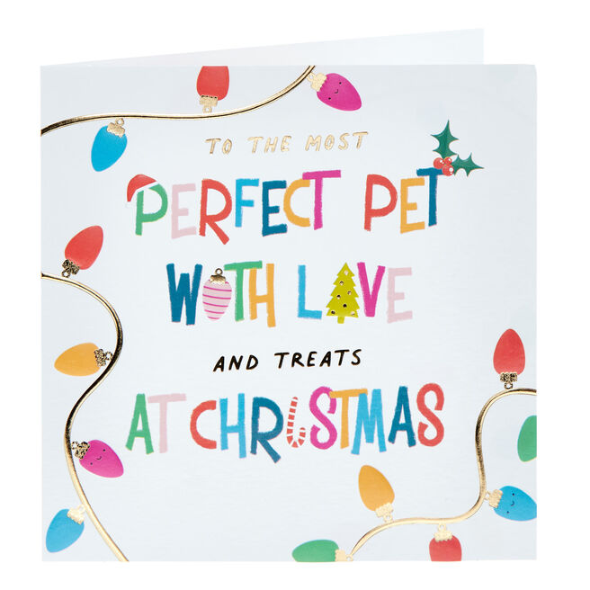 Perfect Pet Fairy Lights Christmas Card
