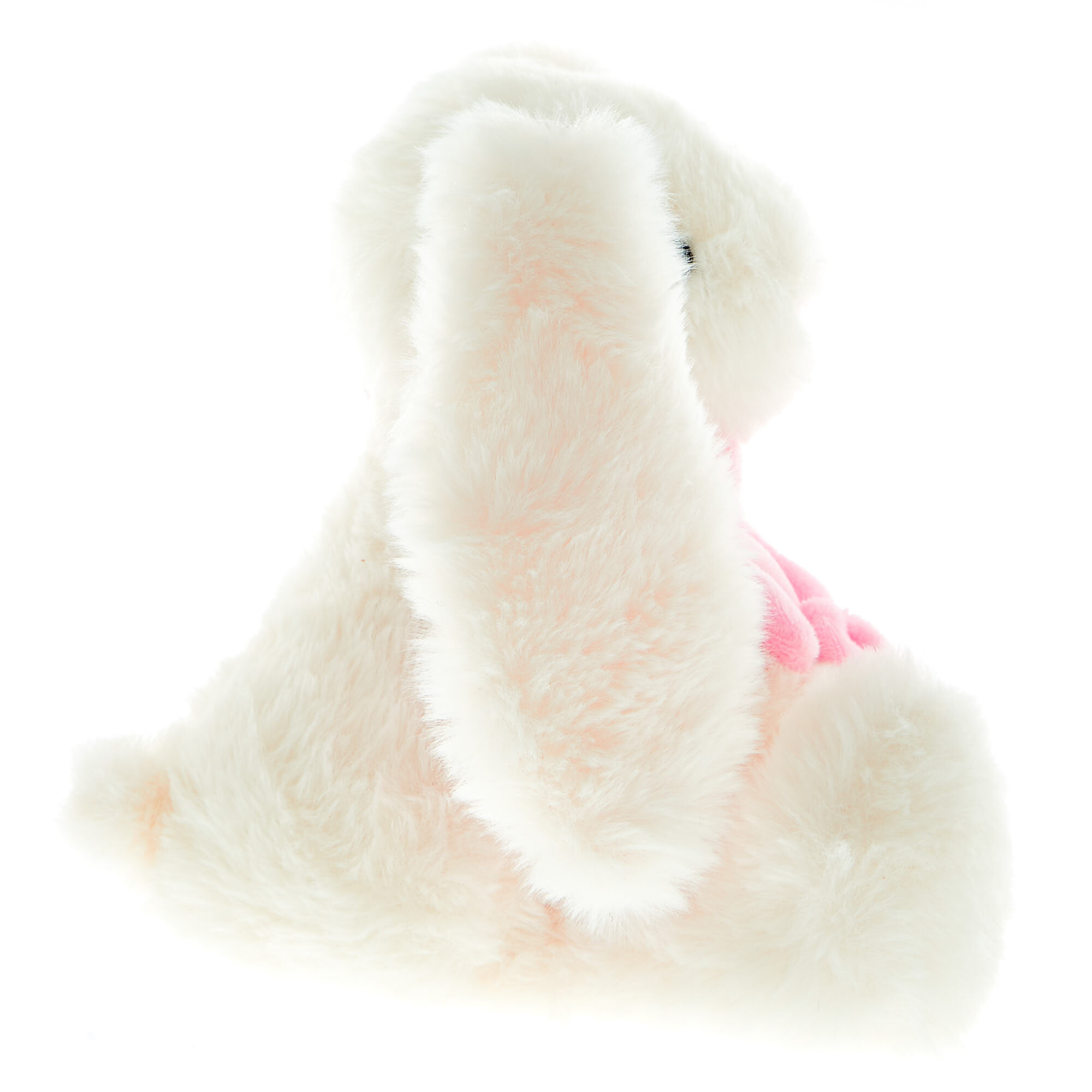 Buy Bunny With Flower Soft Toy for GBP 2.99 | Card Factory UK