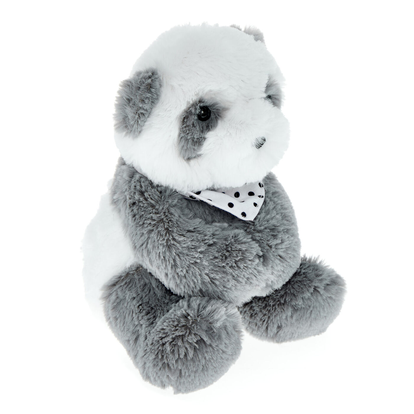 Buy Small Panda Soft Toy for GBP 3.99 | Card Factory UK