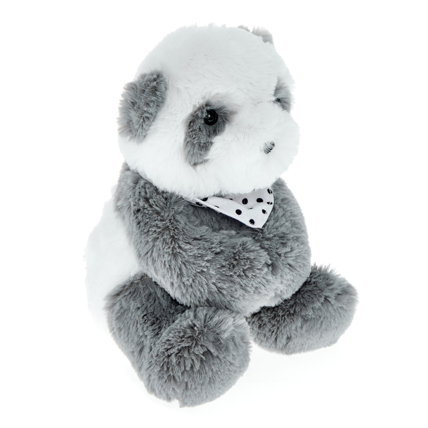 Buy Small Panda Soft Toy for GBP 3.99 Card Factory UK