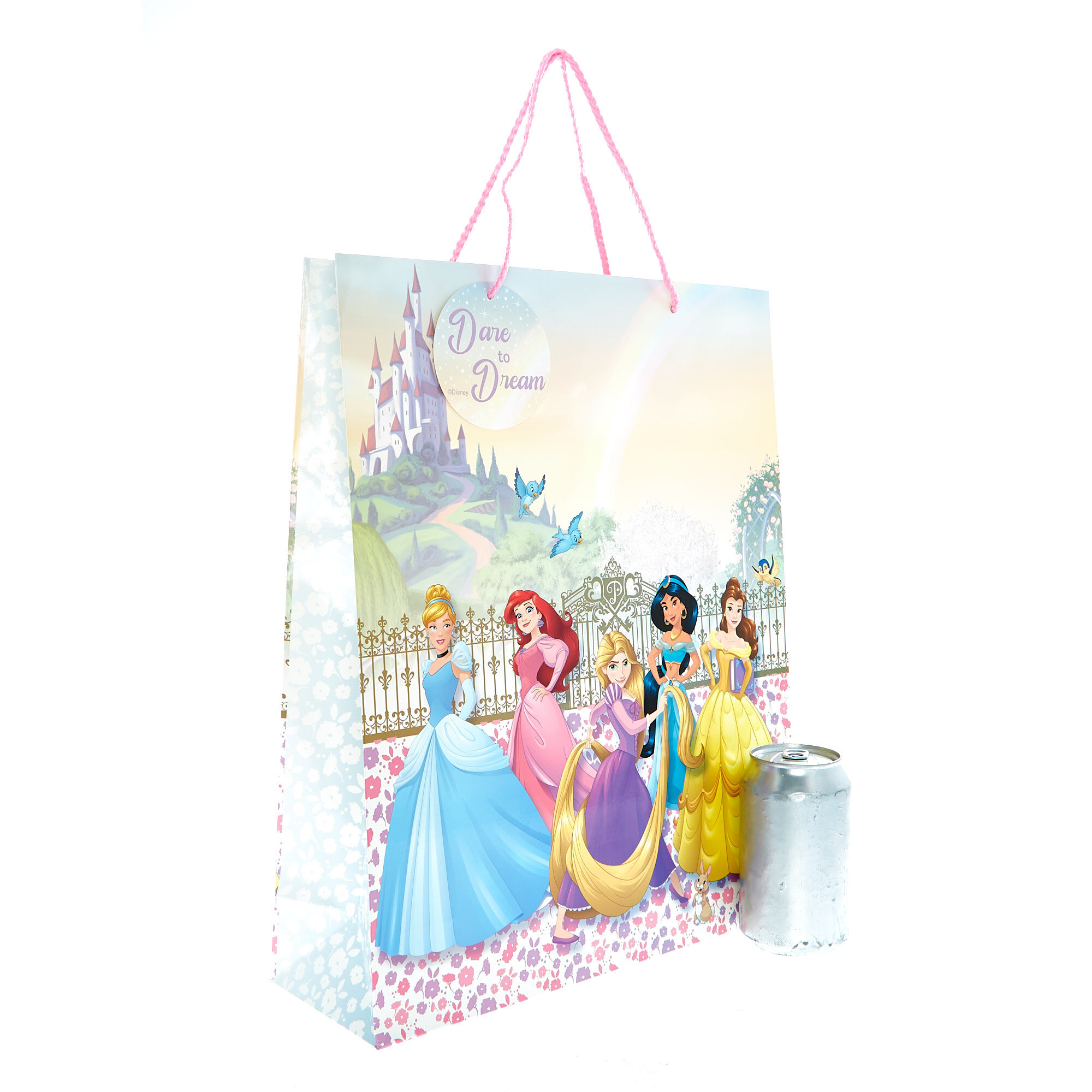 Princess gift bag top