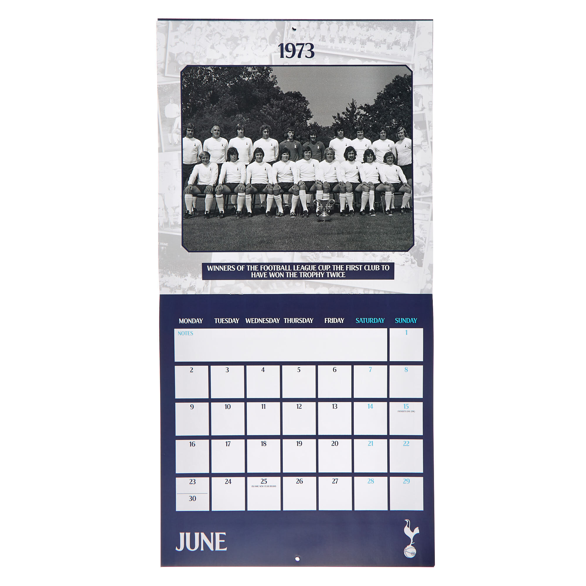 2025 Tottenham Hotspur FC Official A3 Wall Calendar - Month To View, Spurs Football Calendar