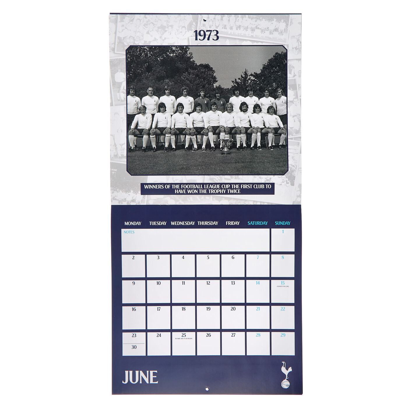 2025 Tottenham Hotspur FC Official A3 Wall Calendar - Month To View, Spurs Football Calendar