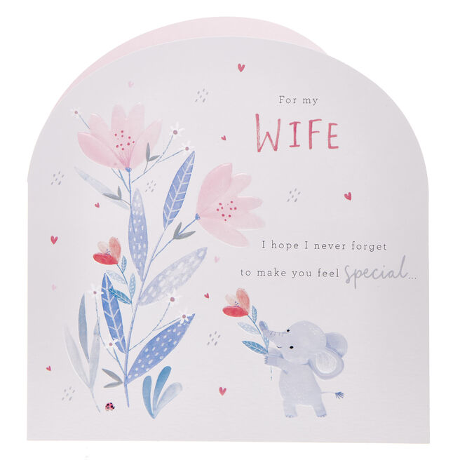 Wife I Hope I Never Forget Valentine's Day Card