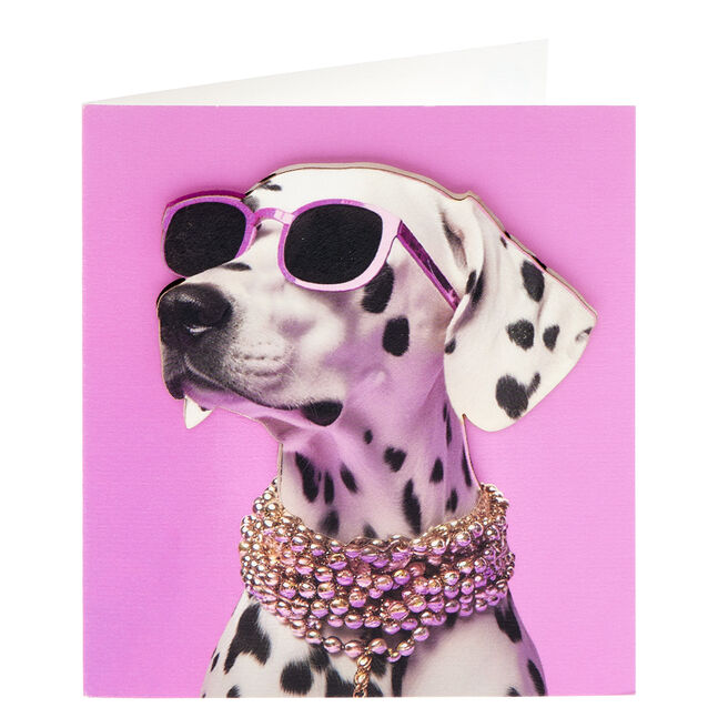 Dalmatian Any Occasion Card 