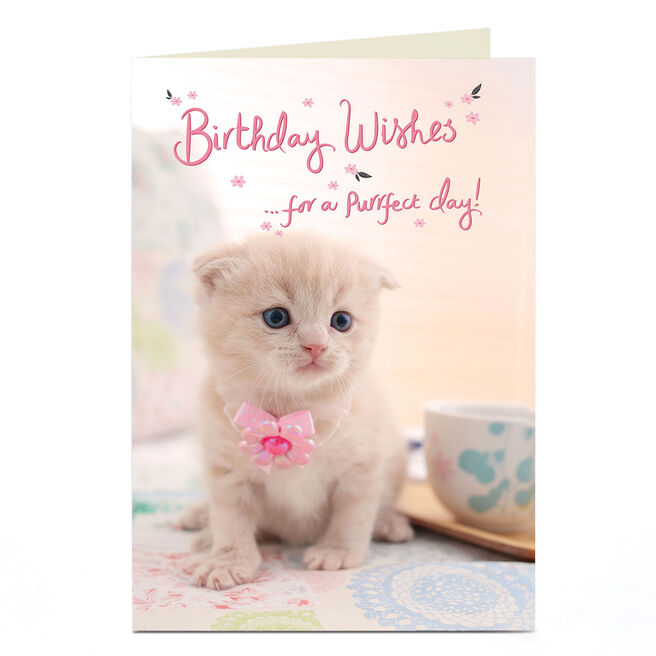 Birthday Card - Purrfect Day Kitten