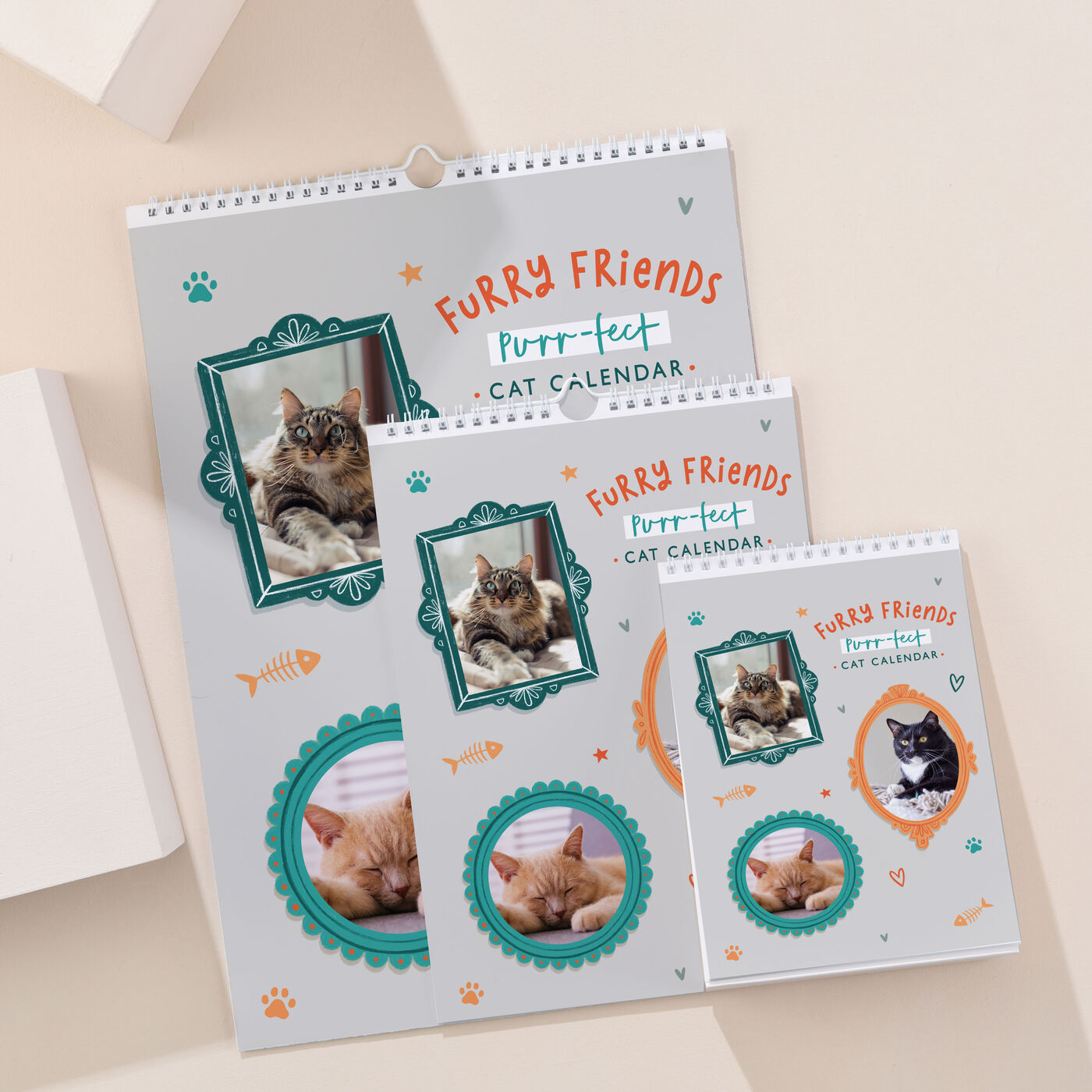 Buy Photo Upload Cats Calendar for GBP 15 99 Card Factory UK