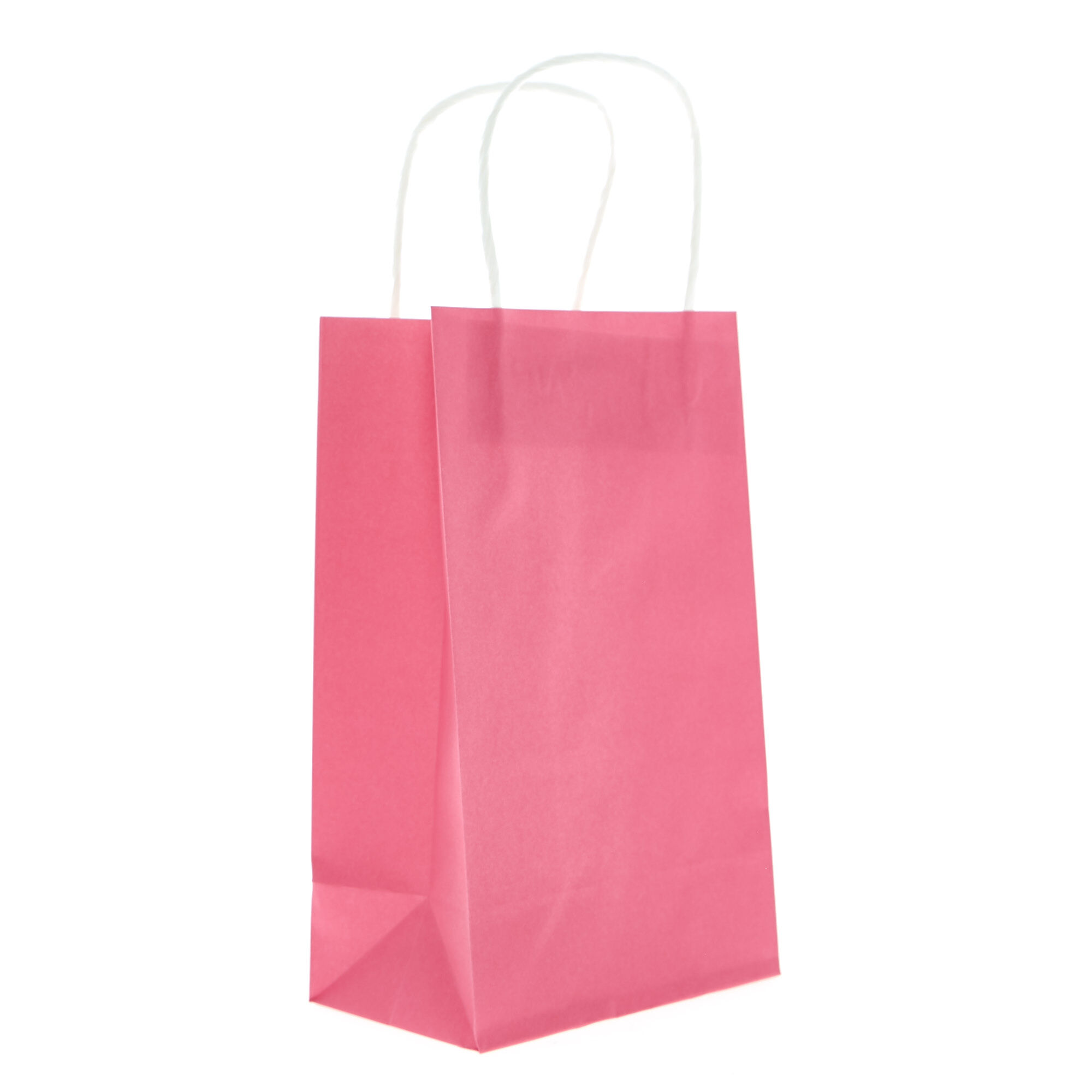 Fuschia Pink Paper Party Bags with Handles x 5 - Kids Themed Party Supplies  | Character Parties Australia
