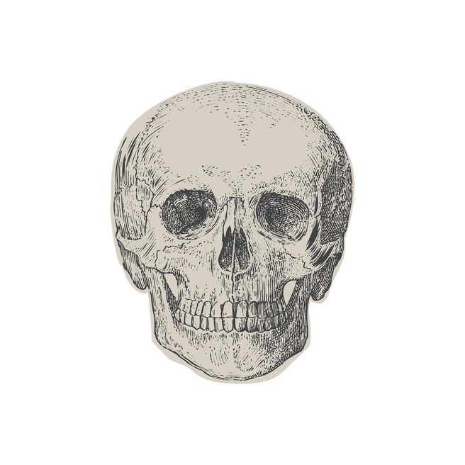 Skull Paper Napkins - Pack of 16