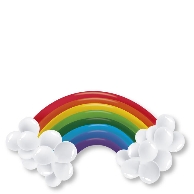 Rainbow Balloon Display Kit - 30 Balloons 