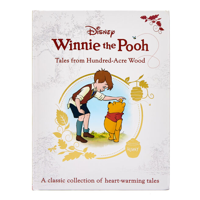 Disney Winnie the Pooh Tales from Hundred-Acre Wood
