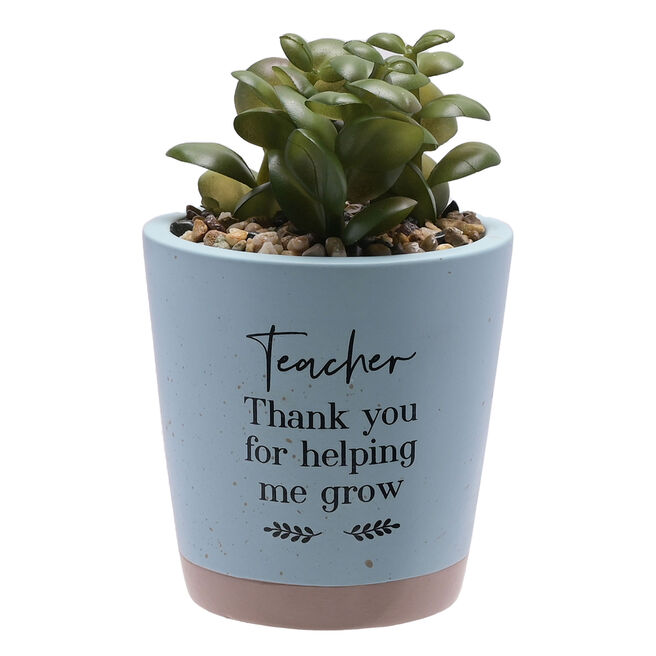 Thank You Teacher Artificial Plant