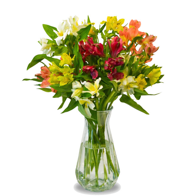 Letterbox Alstroemeria Flower Bouquet - Free Delivery!