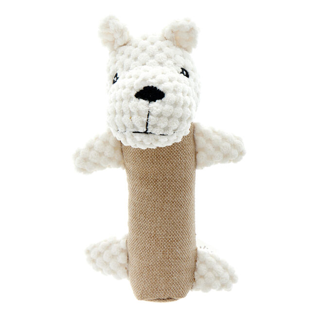 Squeaky Dog Toy
