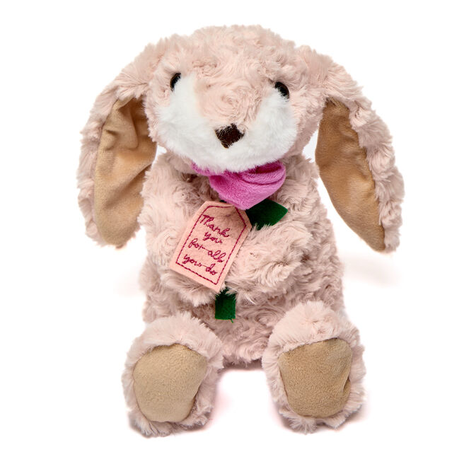 Thank You For All You Do Bunny Soft Toy