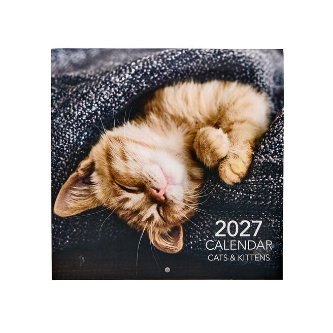 Cats & Kittens 2027 Square Wall Calendar 