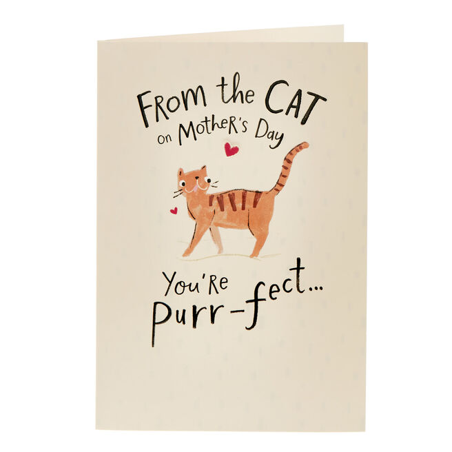 From The Cat You're Purrfect Mother's Day Card
