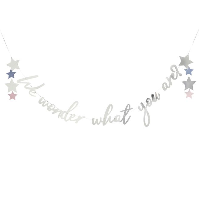 Silver We Wonder What You Are? Card Banner 2m