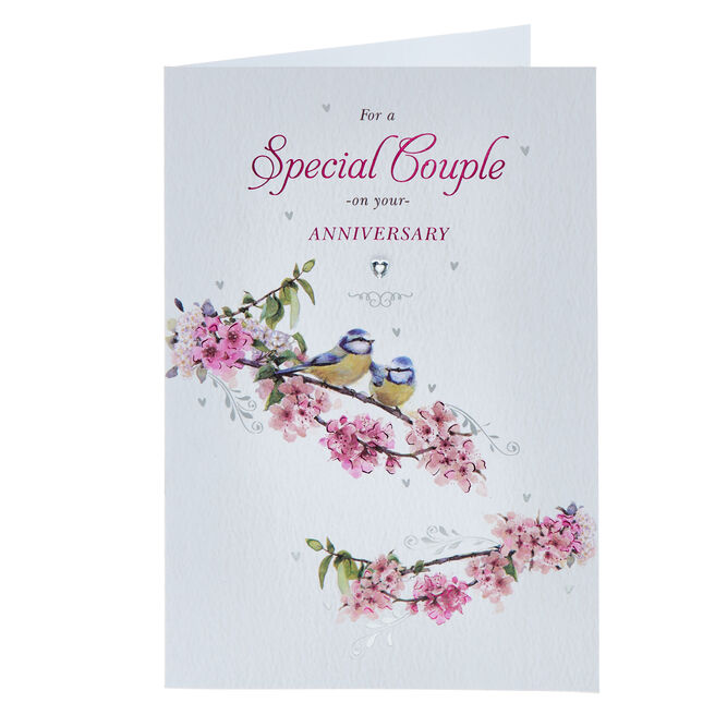 Special Couple Bird Pair Wedding Anniversary Card