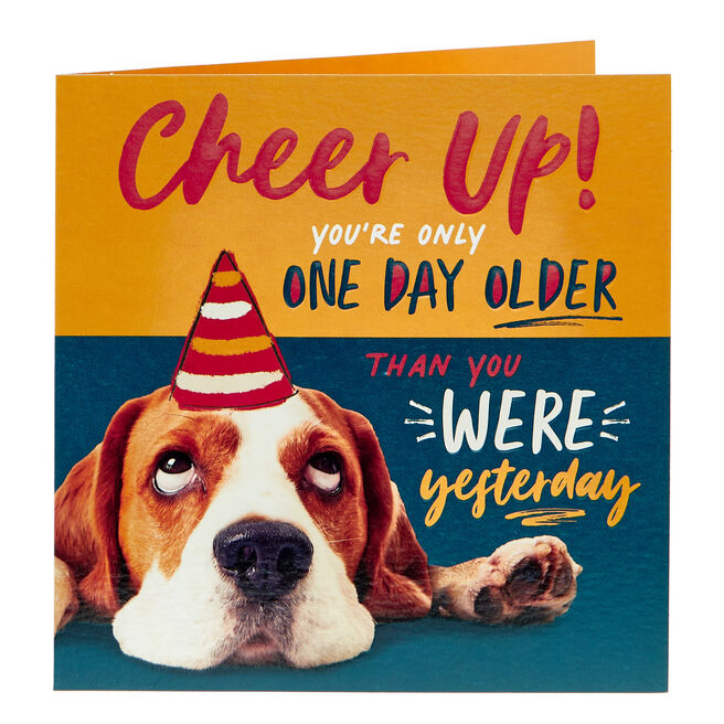 Birthday Card - Cheer Up Dog