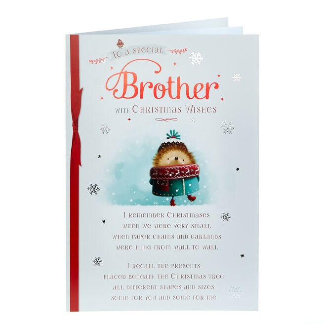 Christmas Card - Special Brother Hedgehog 