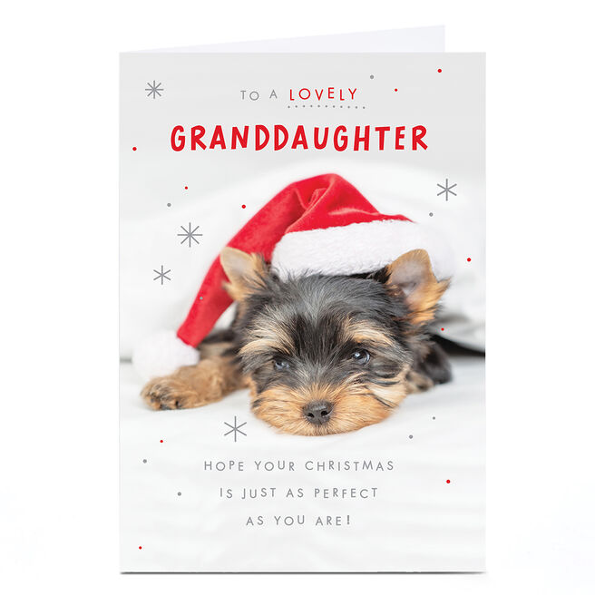 Personalised Christmas Card - Puppy in Santa Hat, Granddaughter