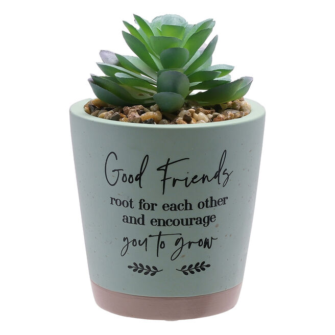 Good Friends Root For Each Other Artificial Succulent 