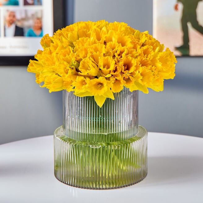 Blossoming Gifts 100 Spring Daffodils Flower Bouquet - Free Delivery!