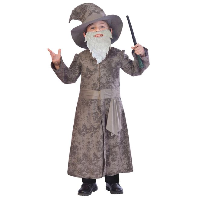 Wise Wizard Children's Fancy Dress Costume